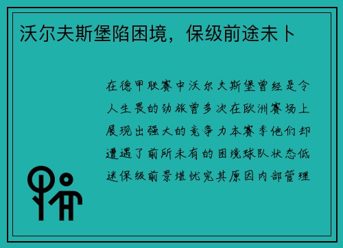 沃尔夫斯堡陷困境，保级前途未卜