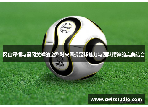 冈山绿植与福冈黄蜂的激烈对决展现足球魅力与团队精神的完美结合