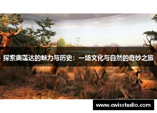 探索奥蓬达的魅力与历史：一场文化与自然的奇妙之旅